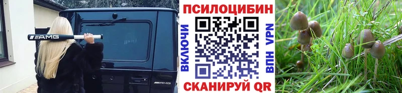 Псилоцибиновые грибы MAGIC MUSHROOMS Вязьма